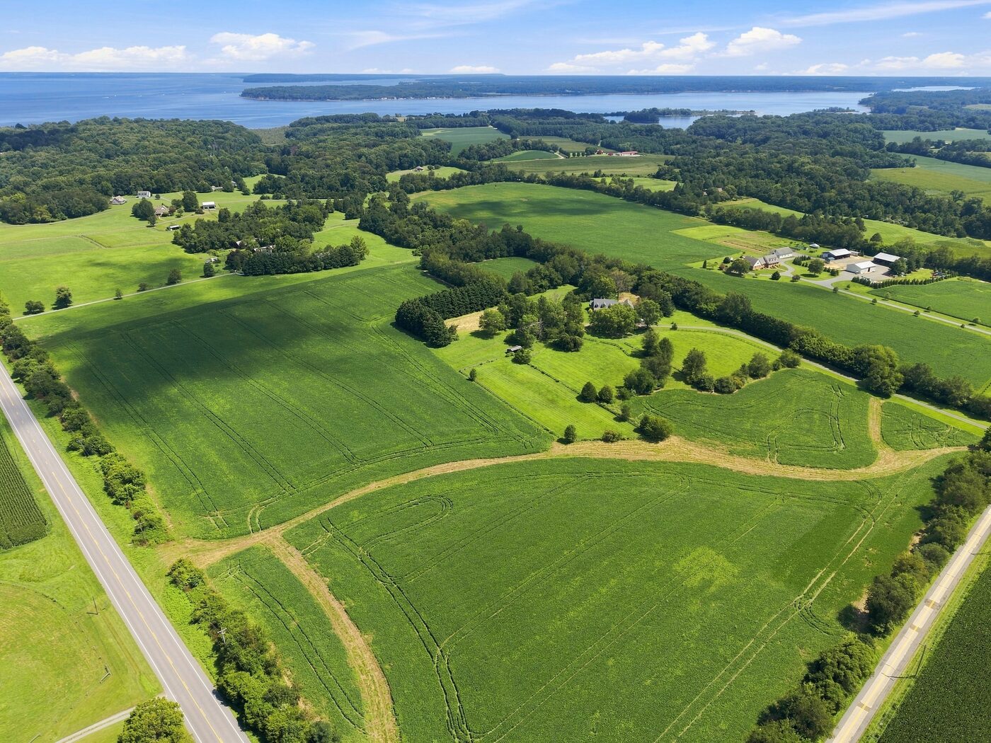 Farmland rolling toward the Chesapeake Bay